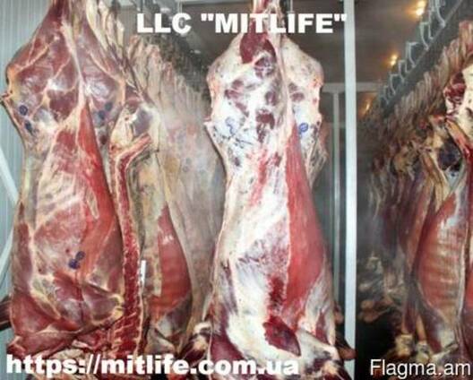 Говядина Телятина Мясо Халяль оптом Украина