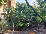 Վաճառվում է 3 հարկանի քարե տուն Երևանում: Այգեստան 11 - фото 13