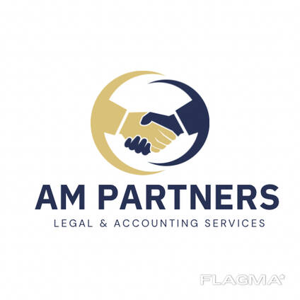 AM PARTNERS