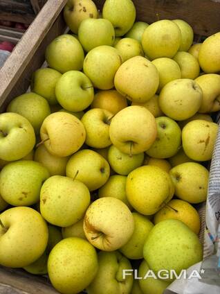 Armenian Apple in Karbi