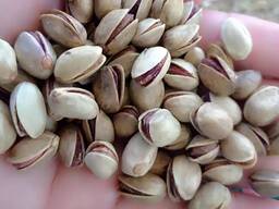 Фисташки pistachio nut
