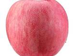 Fuji Apples, best red sweet apples - фото 1