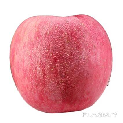 Fuji Apples, best red sweet apples