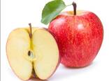 Fuji Apples, best red sweet apples - photo 2