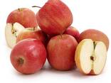 Fuji Apples, best red sweet apples - фото 5