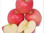 Fuji Apples, best red sweet apples - фото 6