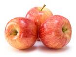 Fuji Apples, best red sweet apples - фото 7
