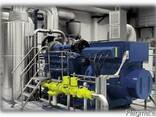 Газопоршневая электростанция (800 квт- 4 мвт) - фото 3