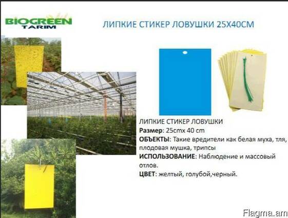 Голубые клеевые ловушки-карты 25х40см