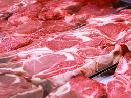 HALAL Camel Meat