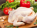 Halal Frozen Chicken, Thigh, Back quarter, Wings , Fillet IPBF , IQF, BF. - photo 1