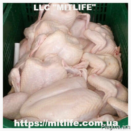 Халяль курица оптом Halal chicken wholesale in Ukraina