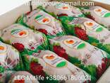 Халяль курица оптом Halal chicken wholesale in Ukraina - фото 2