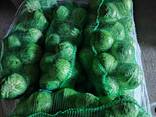 Капуста РБ - фото 2