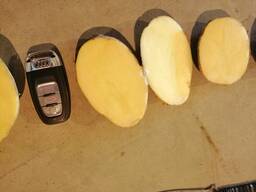 Картофель - Огромный объём - идеальное качество