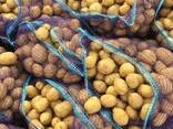 Kartofily  k’anakut’yamb kvacharrem - photo 1