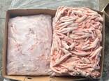 Куриные лапки и ножки chicken paws, feet из Ирана - фото 3
