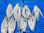 Мороженные морепродукты в Армению от завода из Китая - photo 3