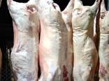 Mutton / Lamb meat - photo 4