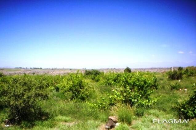 Приусадебный земельный участок напротив в с. Прошян