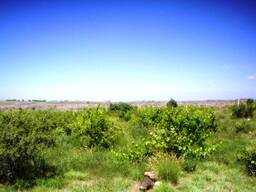 Приусадебный земельный участок напротив в с. Прошян