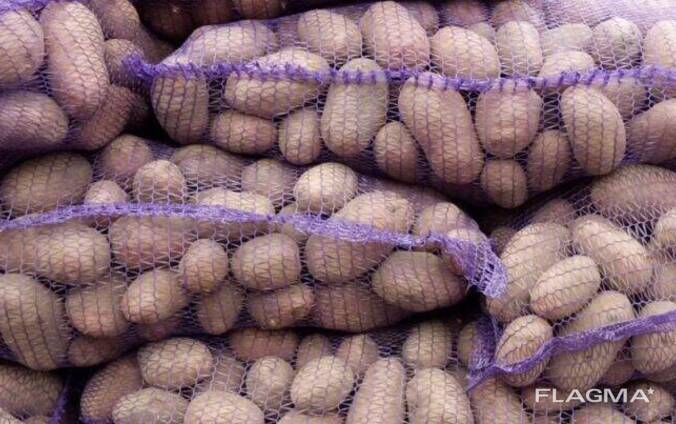 Продаю картофель