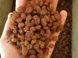 Raisins Sultana Aftabi (brown, confectionery)