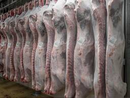 СЕТКА-РУКАВ для транспортировки охлажденных и замороженных туш говядины и баранины