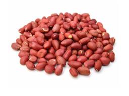 Семена арахиса