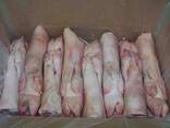 Wholesale Premium Quality Frozen Pork Meat / Pork Hind Leg / Pork feet available Frozen po - фото 1