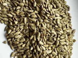 Ядро подсолнечное