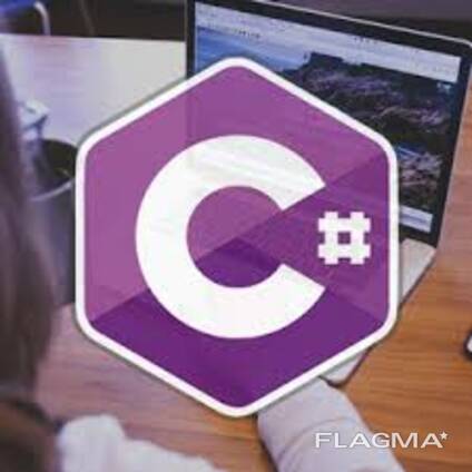 ԴԱՍԸՆԹԱՑՆԵՐ’ Անհատական, Online: C#, WinForm, WEB, ASP. NET