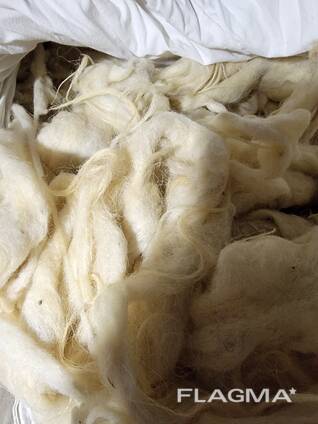 Ձյունաճերմակ բնական ոչխարի բուրդ մաքուր և բարձրորակ