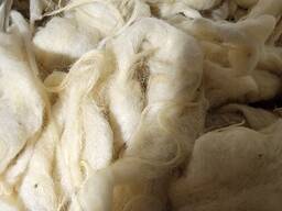 Ձյունաճերմակ բնական ոչխարի բուրդ մաքուր և բարձրորակ